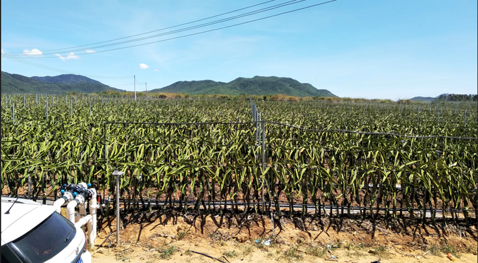 VFD AC Drive for Pump